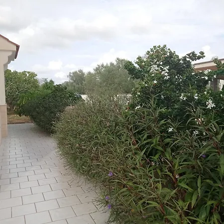Salento Nonno Toto 別荘 マリーナ・ディ・マンカヴェルサ
